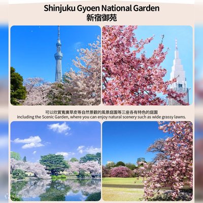 🌳 참새의 여관 녹지공원 (스즈메노오야도 료쿠치코엔)